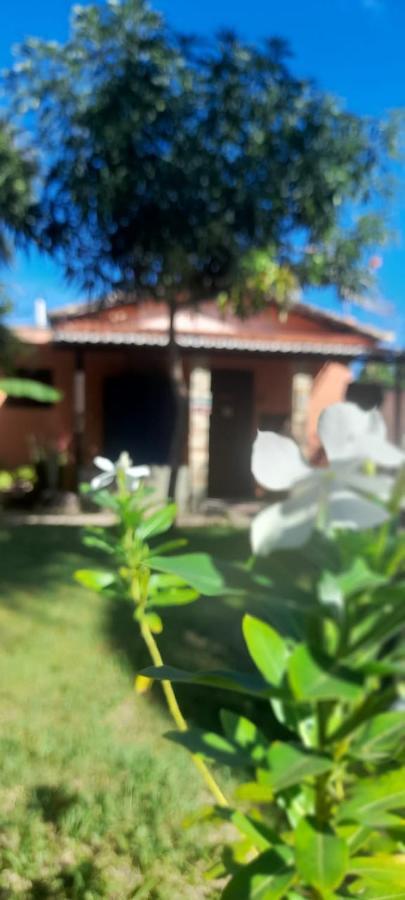 A Arca Pousada Praia de Pipa Bagian luar foto